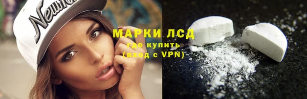 ешки Аркадак