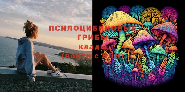 ешки Аркадак