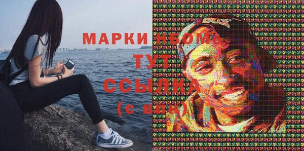 ешки Аркадак