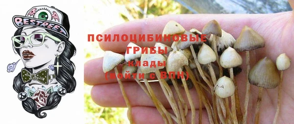 прущий лед Арсеньев