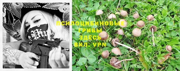 ешки Аркадак